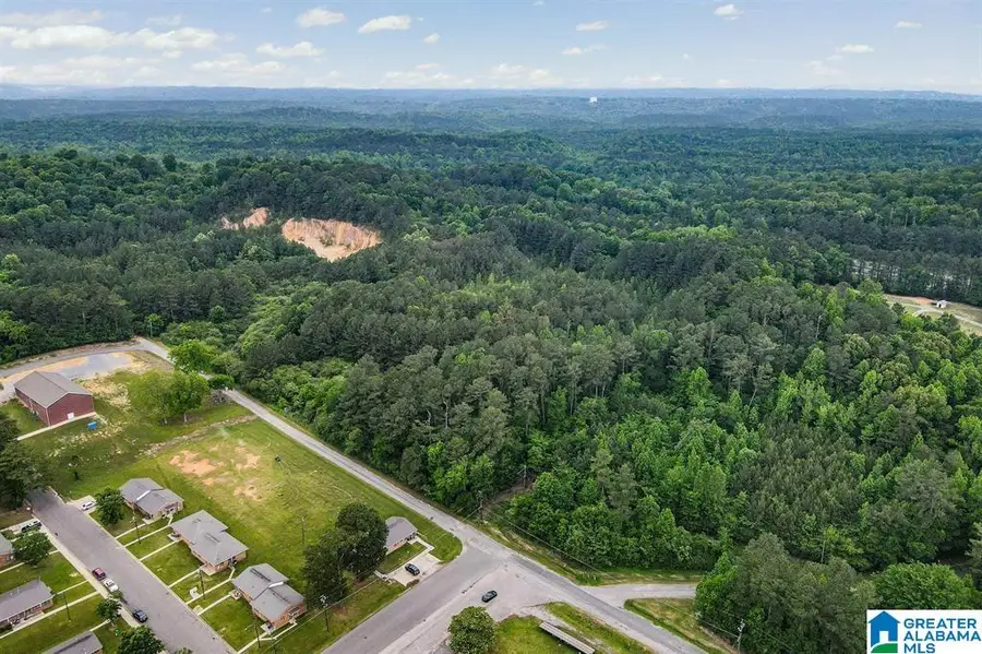 1900 KENTUCKY STREET, Leeds, AL 35094 - #2