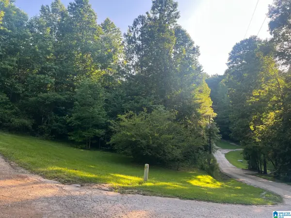 COUNTY ROAD 8023, Lineville, AL 36266