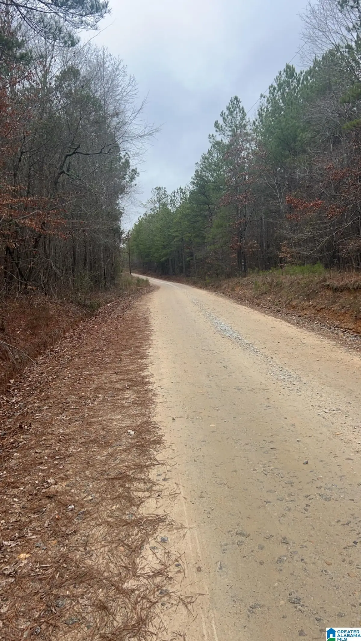 Lot 5 /2 Acre COUNTY ROAD 823, Wadley, AL 36276 - Image #1