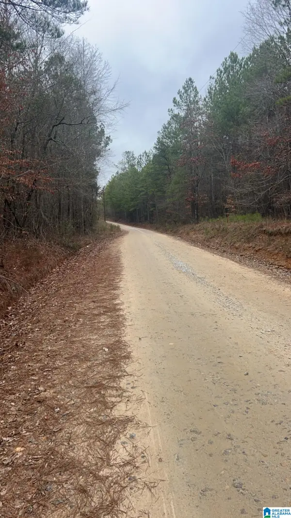 Lot 5 /2 Acre COUNTY ROAD 823, Wadley, AL 36276