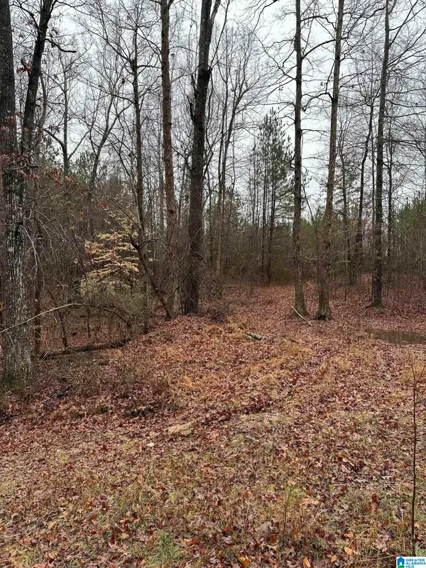 0 COUNTY ROAD 79, Roanoke, AL 36274