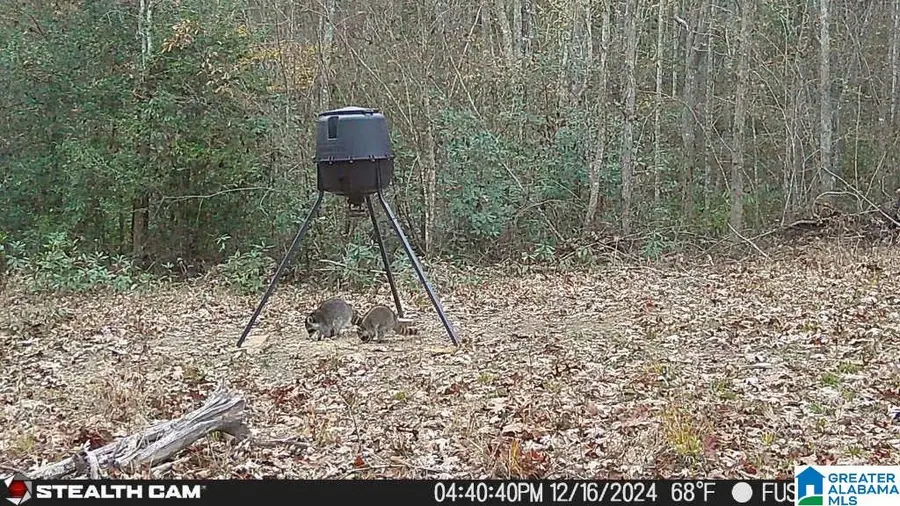 #3