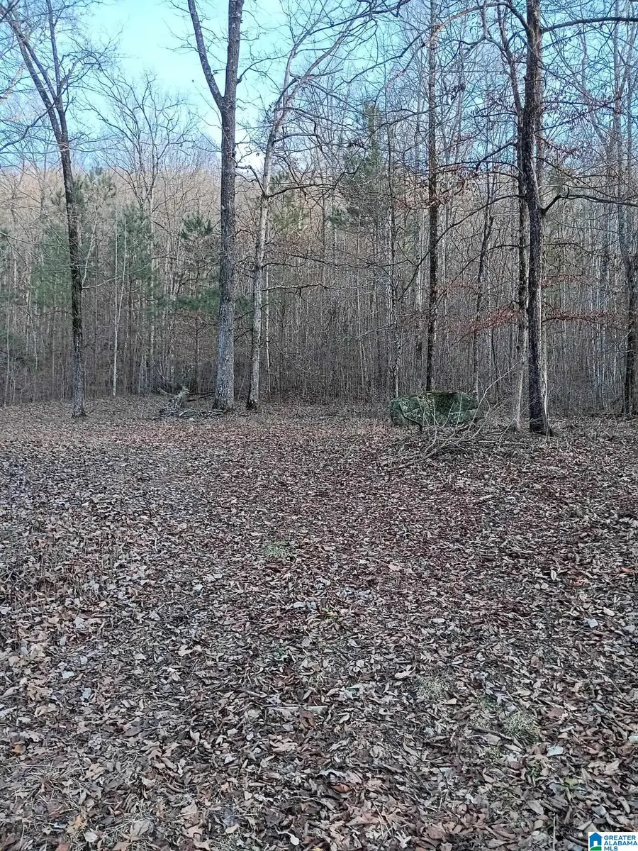 #3