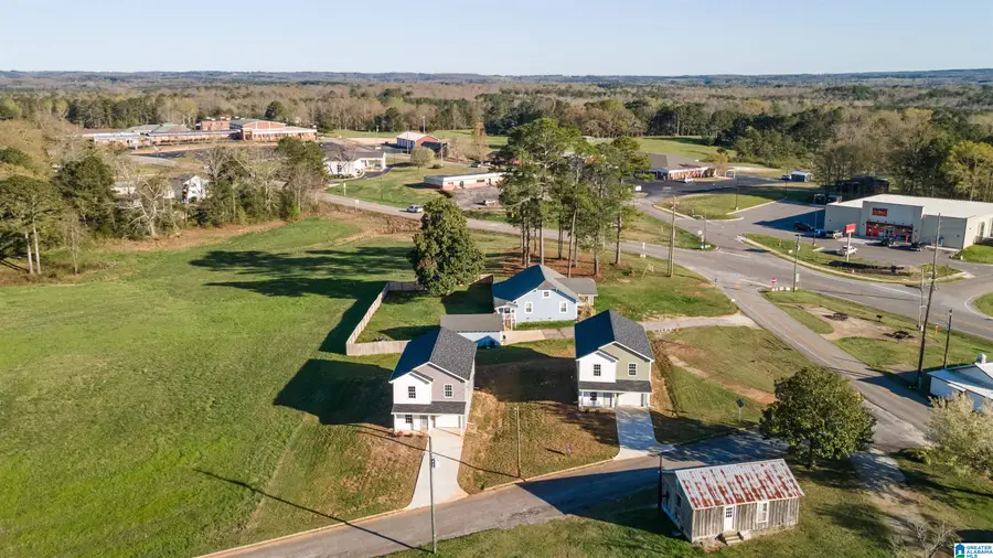 24 WILLIAMS DRIVE, Woodland, AL 36280 - #2