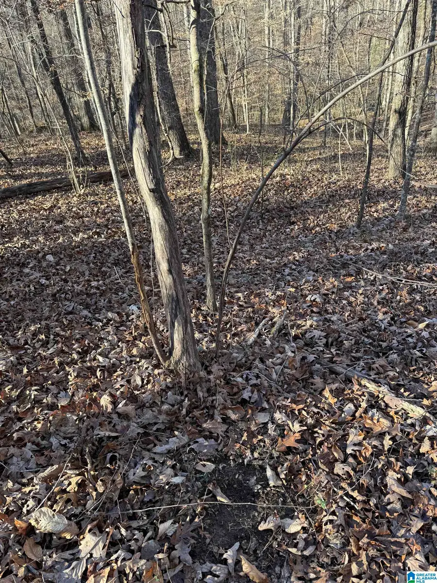 3107 SMITH SIMS ROAD, Trussville, AL 35173 - #3