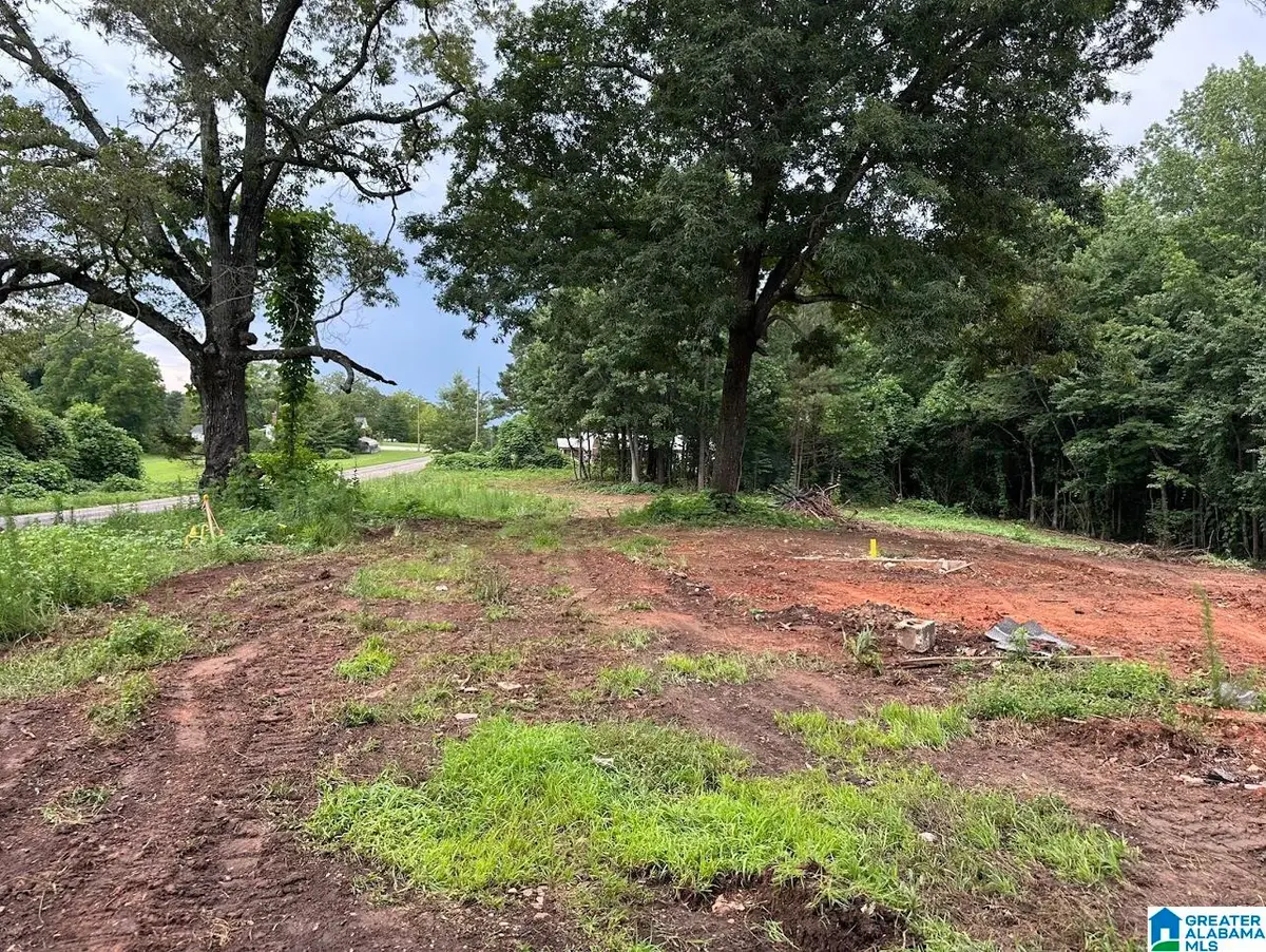 3182 COUNTY ROAD 61, Roanoke, AL 36274 - Image #1