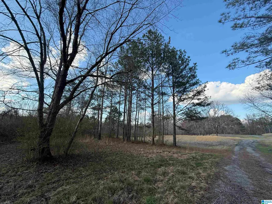 0 COUNTY ROAD 448, Clanton, AL 35046 - #3