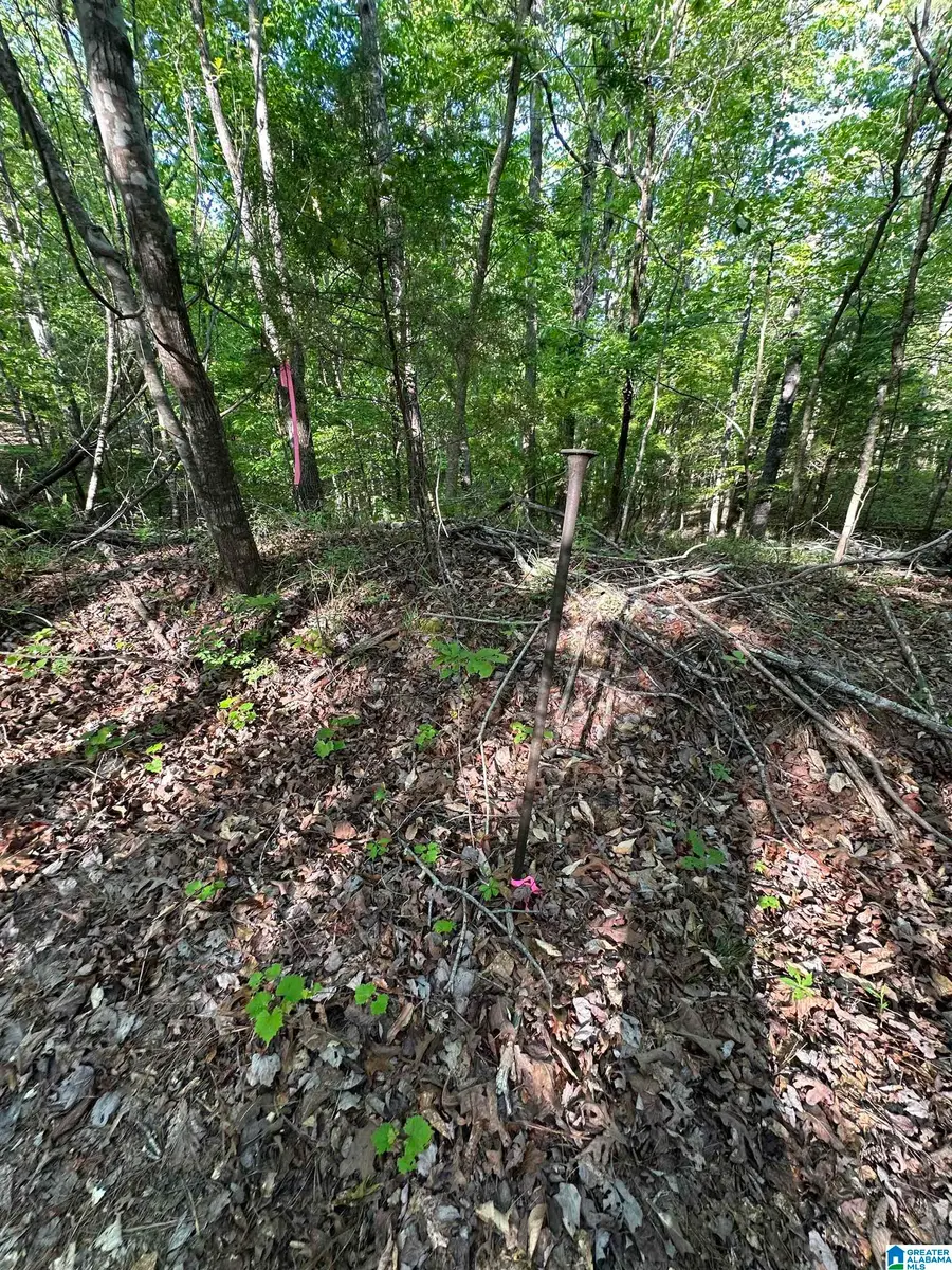 0 COUNTY ROAD 707, Verbena, AL 36091 - #3