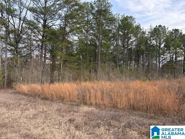 0000 HIDDEN LAKE DRIVE, Empire, AL 35063 - #3