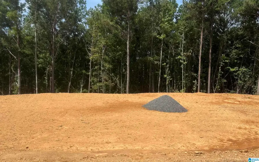 0 LINCOLN CREST BOULEVARD SE, Jacksonville, AL 36265 - Image #2