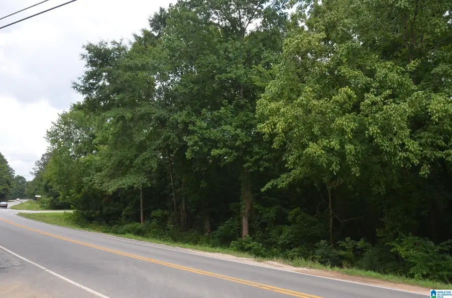 0 ALEXANDRIA JACKSONVILLE HIGHWAY, Jacksonville, AL 36265 - Image #3