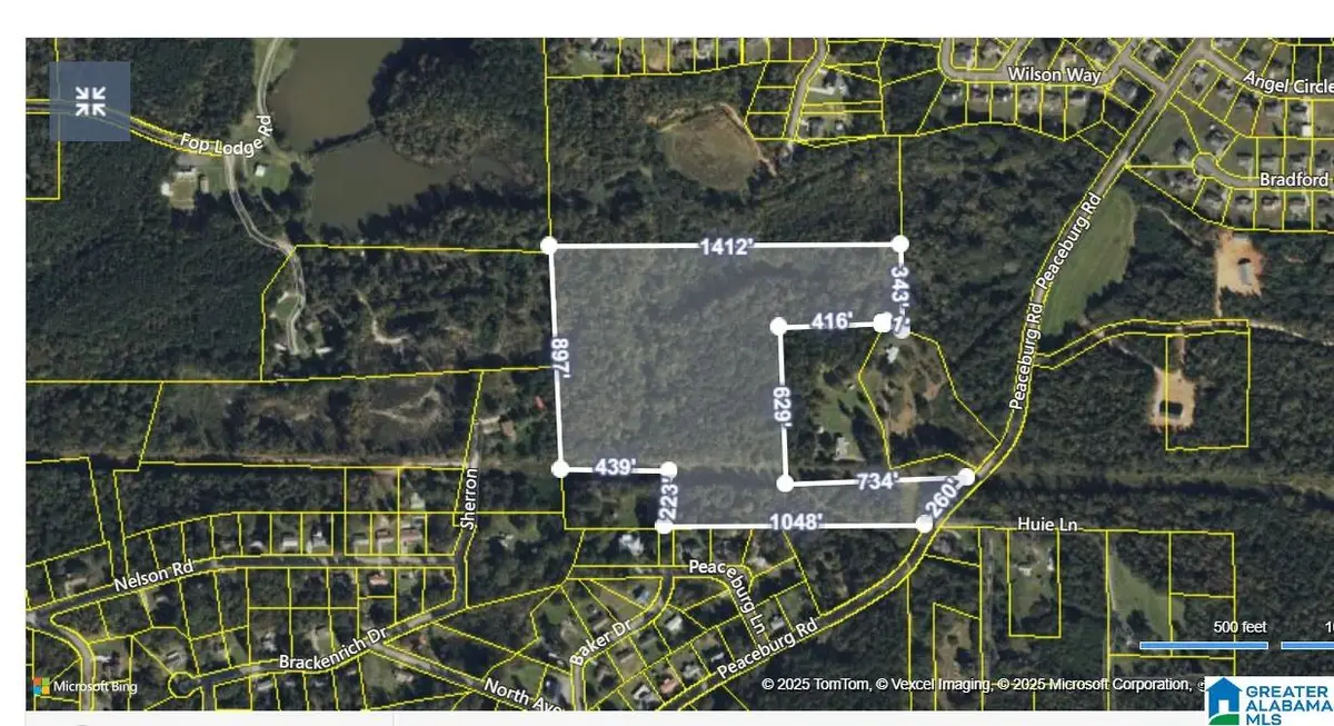 0 PEACEBURG ROAD, Weaver, AL 36277 - Image #1