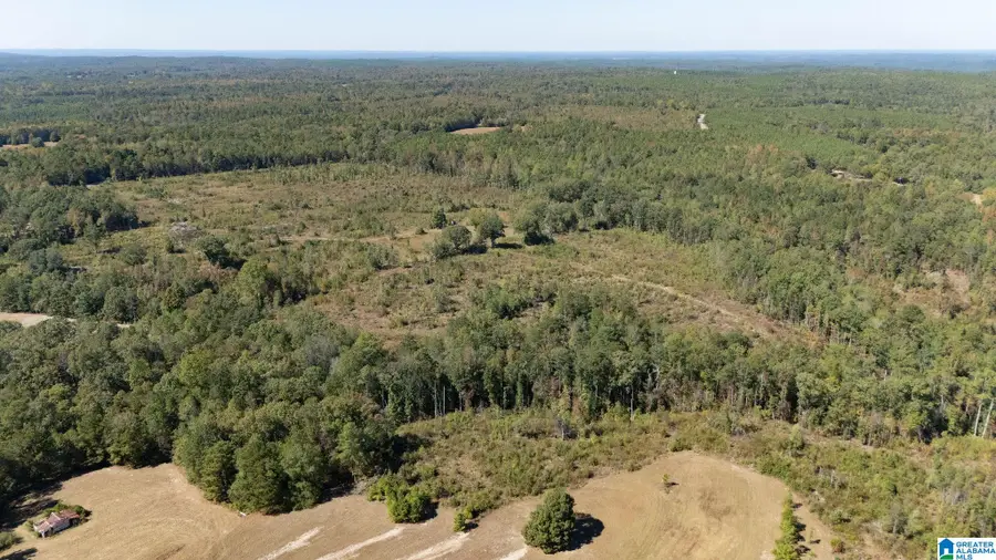 226 HICKS HILL, Lawley, AL 36793 - Image #3