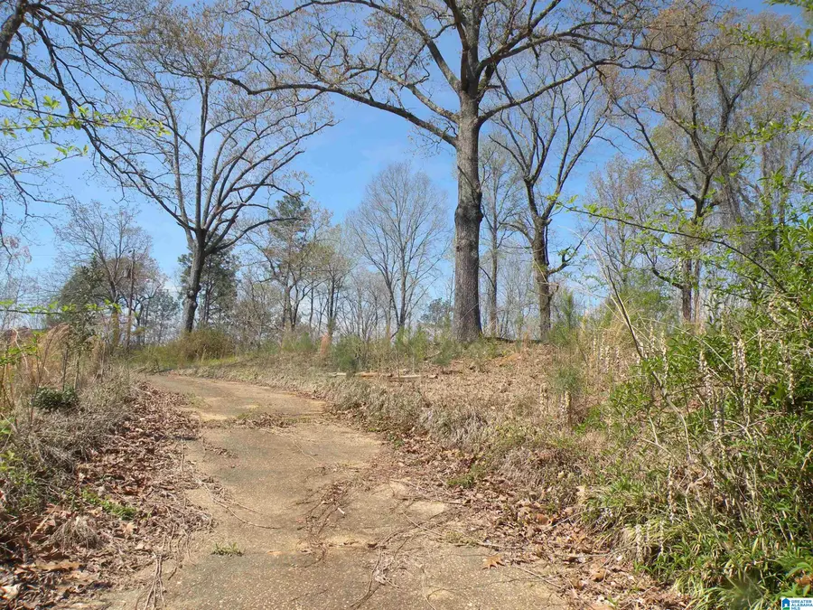 152 HONEYSUCKLE LANE, Sylacauga, AL 35150 - #2