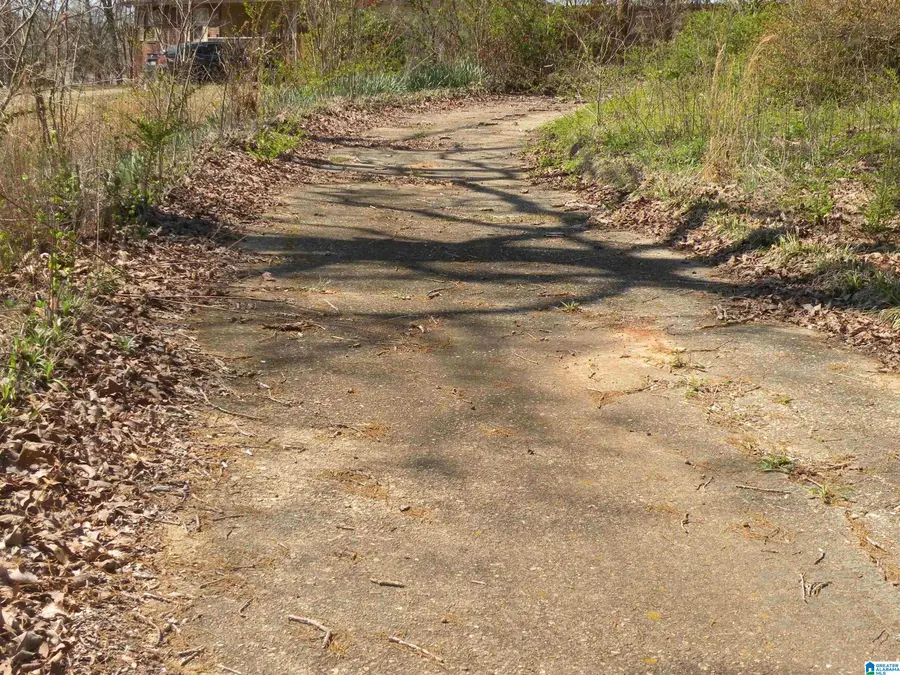 152 HONEYSUCKLE LANE, Sylacauga, AL 35150 - #3