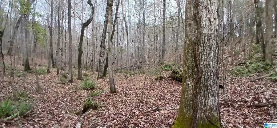 #3
