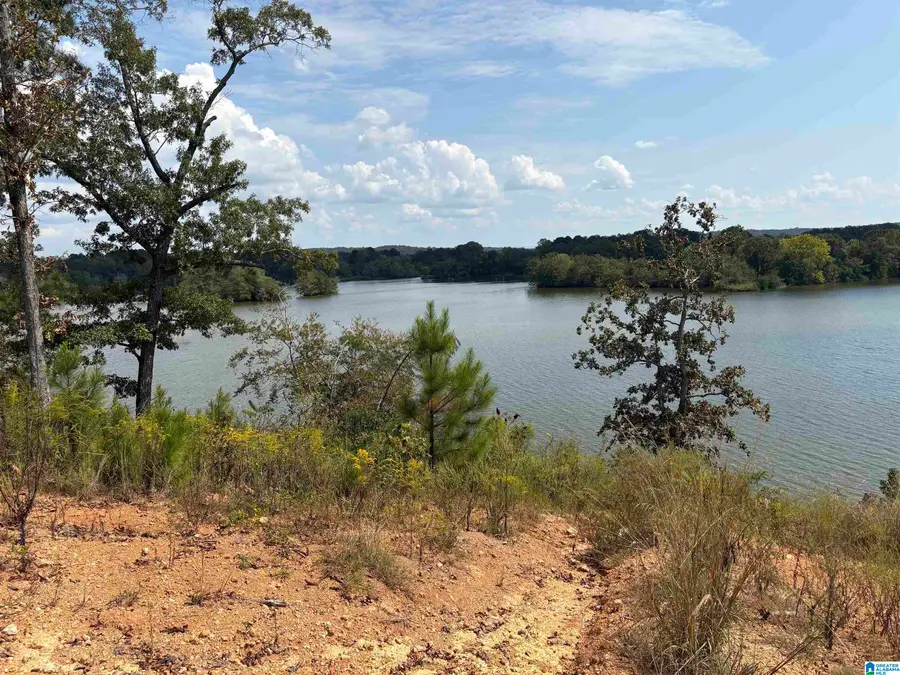 LAKE POINTE DRIVE, Lincoln, AL 35096 - Image #2