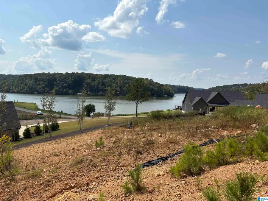 LAKE POINTE DRIVE, Lincoln, AL 35096 - Image #3