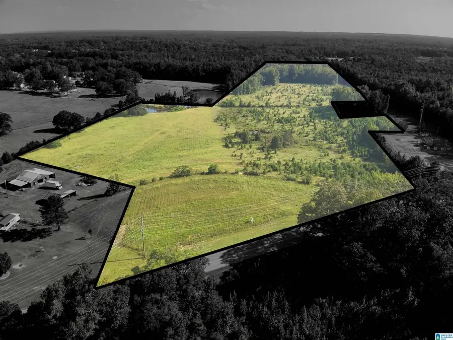 0 NEW HARMONY ROAD, Clanton, AL 35045 - Image #2
