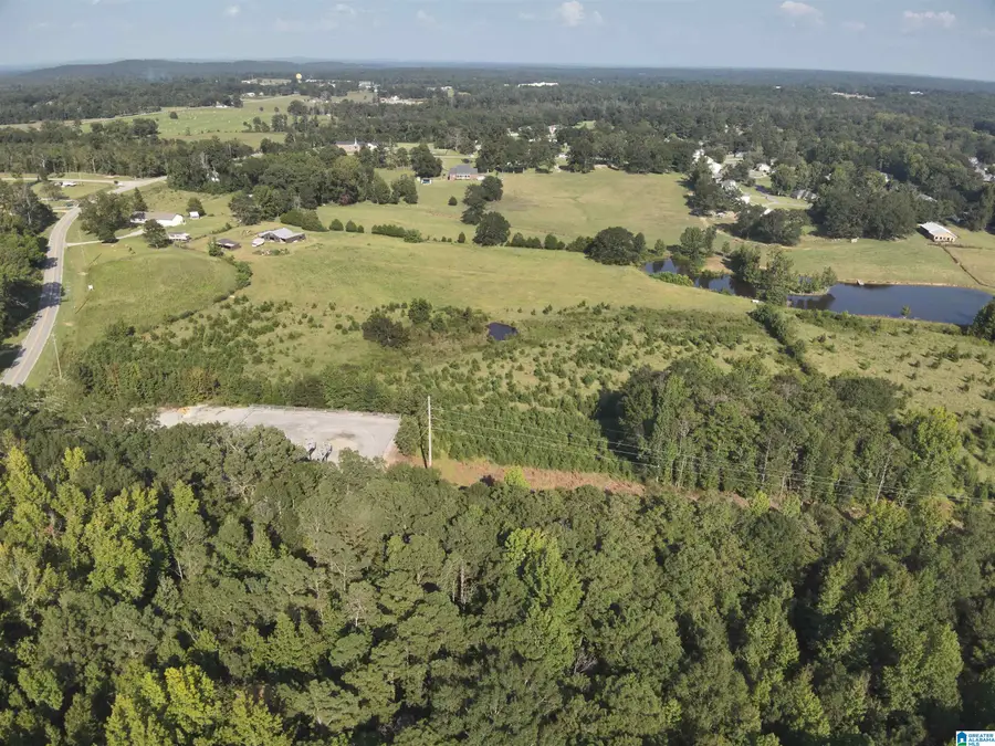 0 NEW HARMONY ROAD, Clanton, AL 35045 - Image #3