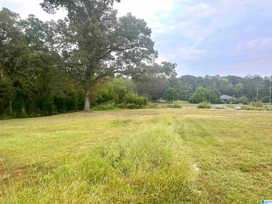 76 4TH AVENUE, Lincoln, AL 35096 - Image #3