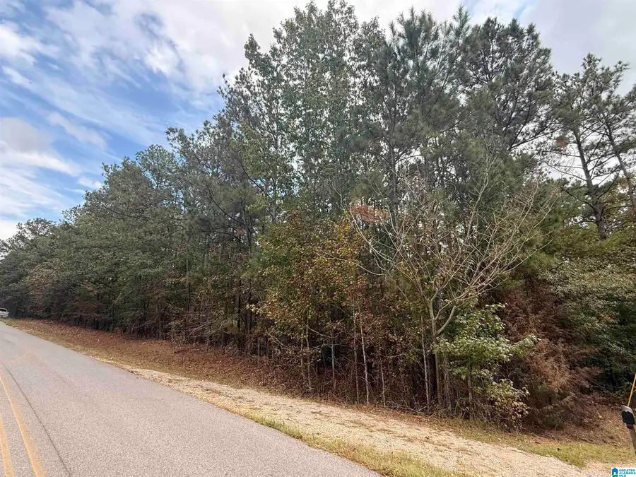 0 COUNTY ROAD 32, Clanton, AL 35046 - Image #3