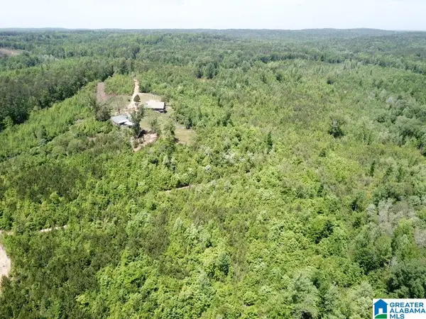 445 BLALOCK LANE, Lawley, AL 36793