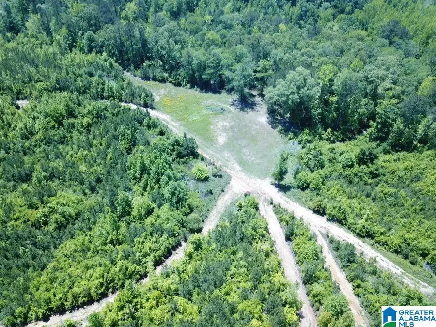 445 BLALOCK LANE, Lawley, AL 36793 - Image #2