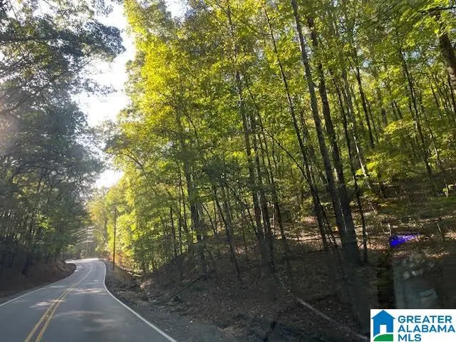 6101 CLAY PALMERDALE ROAD, Pinson, AL 35126 - Image #2