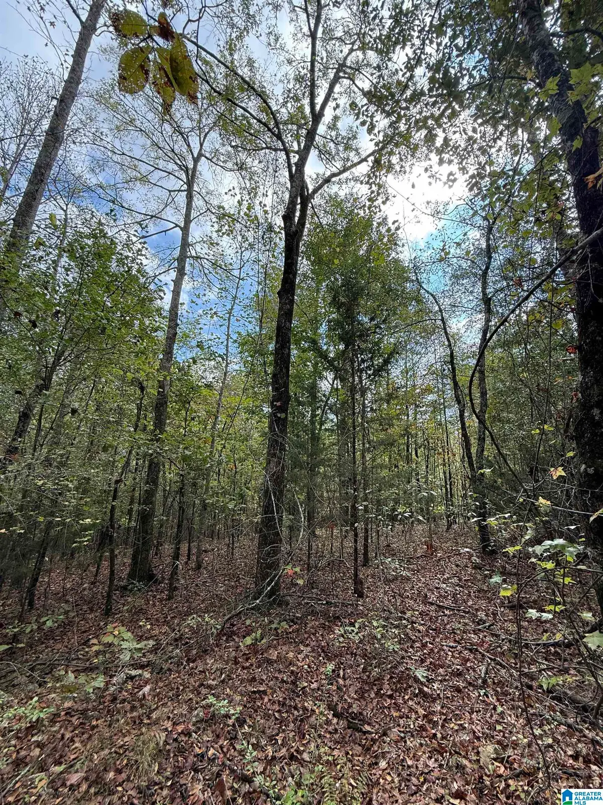 0 MUDD STREET, Lincoln, AL 35096 - Image #1