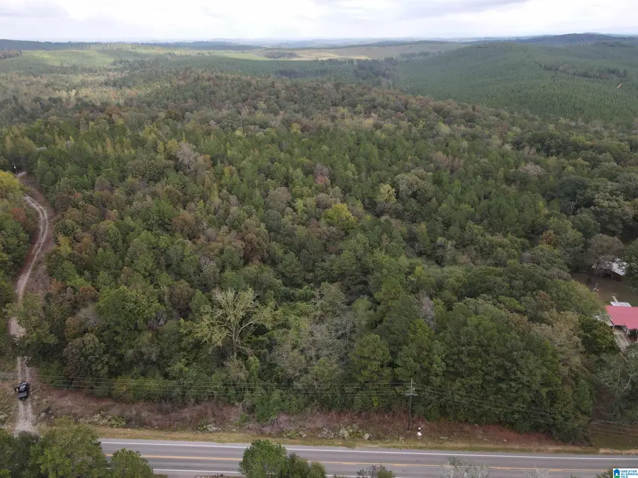 0 MUDD STREET, Lincoln, AL 35096 - Image #2