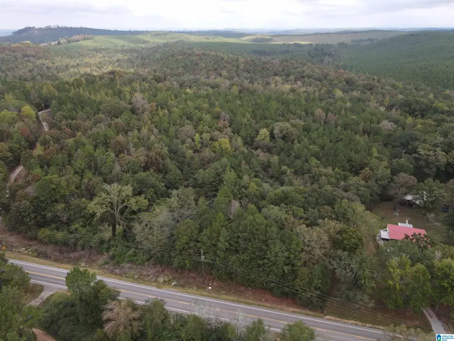 0 MUDD STREET, Lincoln, AL 35096 - Image #3