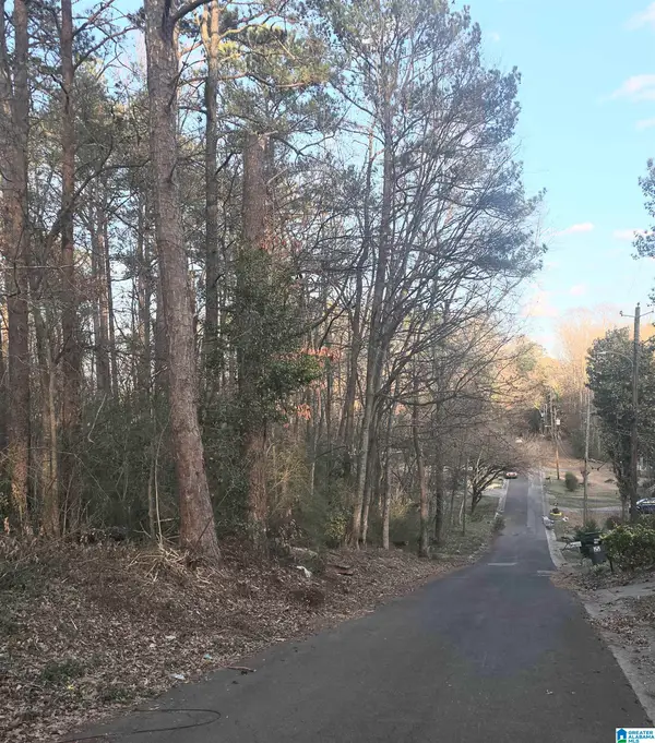 107 CHAPEL DRIVE, Bessemer, AL 35023