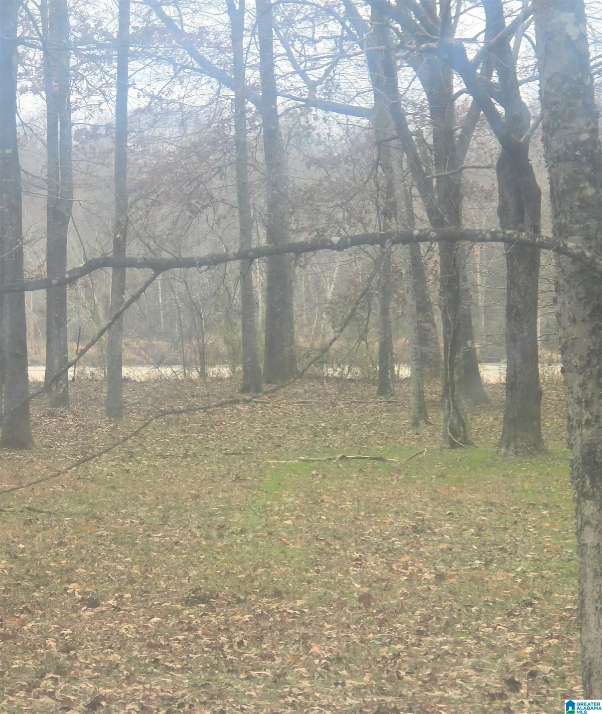 CYPRESS POINT DRIVE, Stewart Akron, AL 36776 - #1