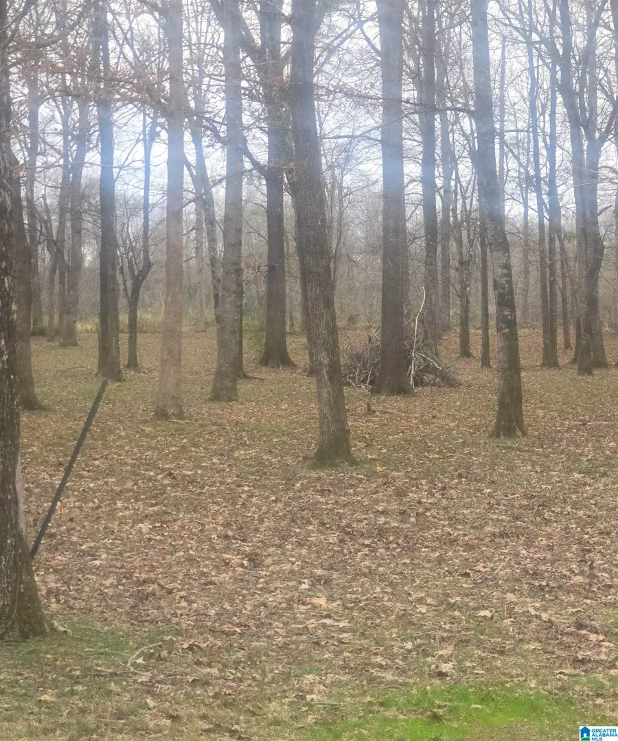 CYPRESS POINT DRIVE, Stewart Akron, AL 36776 - #2