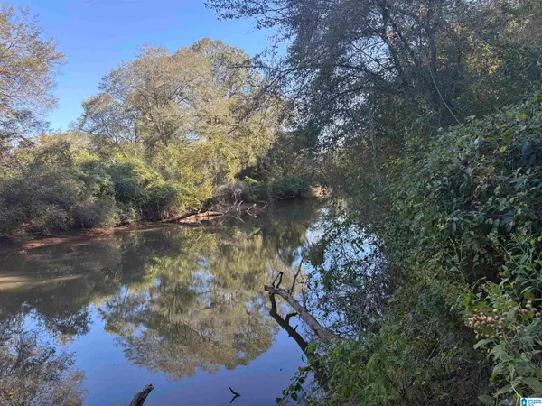 0 COUNTY ROAD 432, Woodland, AL 36280