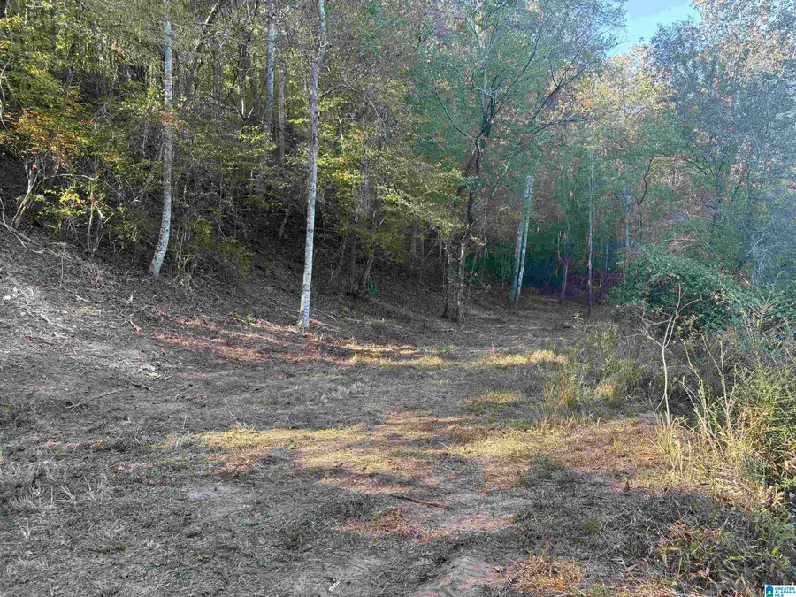 0 COUNTY ROAD 432, Woodland, AL 36280 - #2