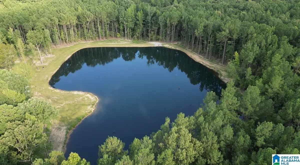 387 MAGNOLIA LANE, Vandiver, AL 35176 - Image #1