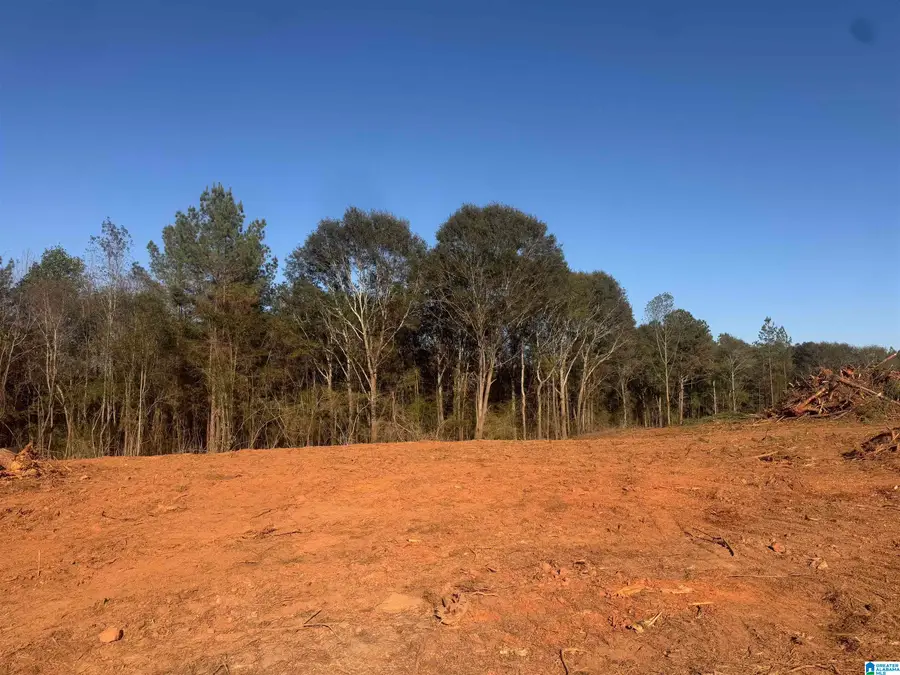 0 COUNTY ROAD 432, Woodland, AL 36280 - Image #2