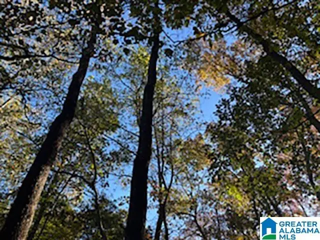 0 COUNTY ROAD 624, Woodland, AL 36280 - Image #3