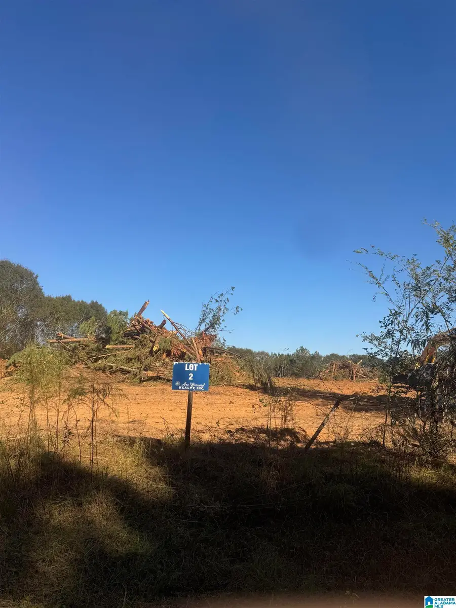 0 COUNTY ROAD 432, Woodland, AL 36280 - Image #2