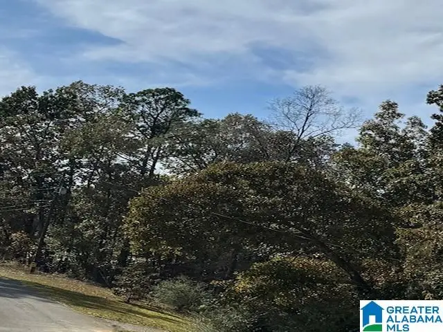 0 SILVER CIRCLE, Jacksonville, AL 36265 - Image #1