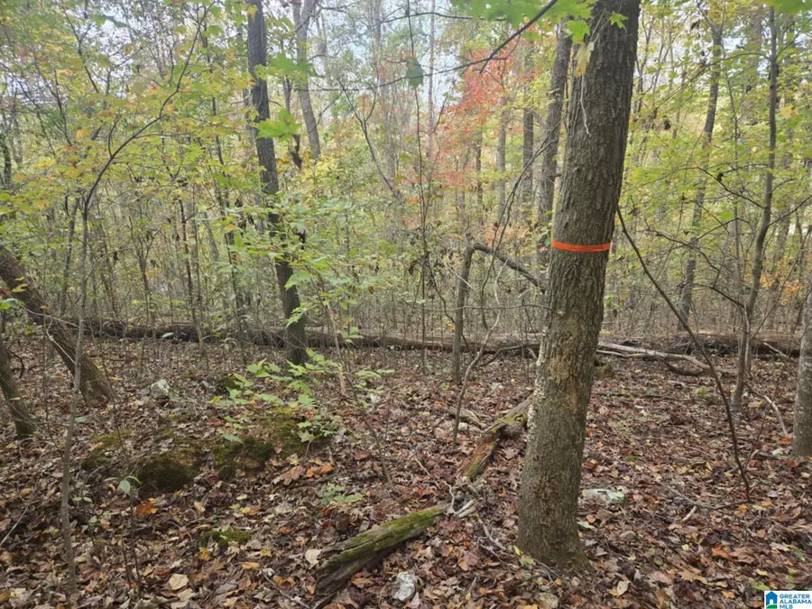 BOHANNON DRIVE, Moody, AL 35004 - #2