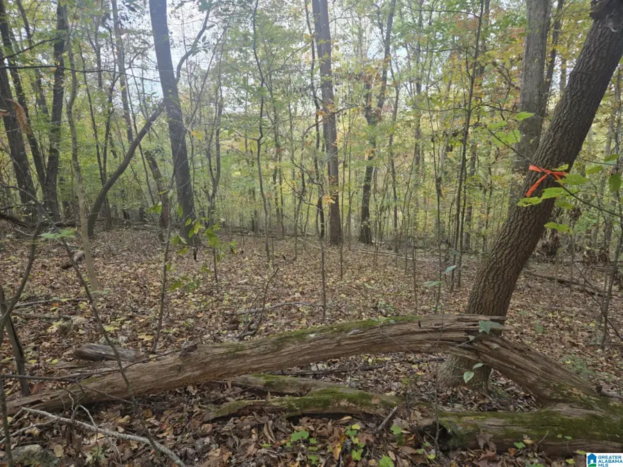 BOHANNON DRIVE, Moody, AL 35004 - #3