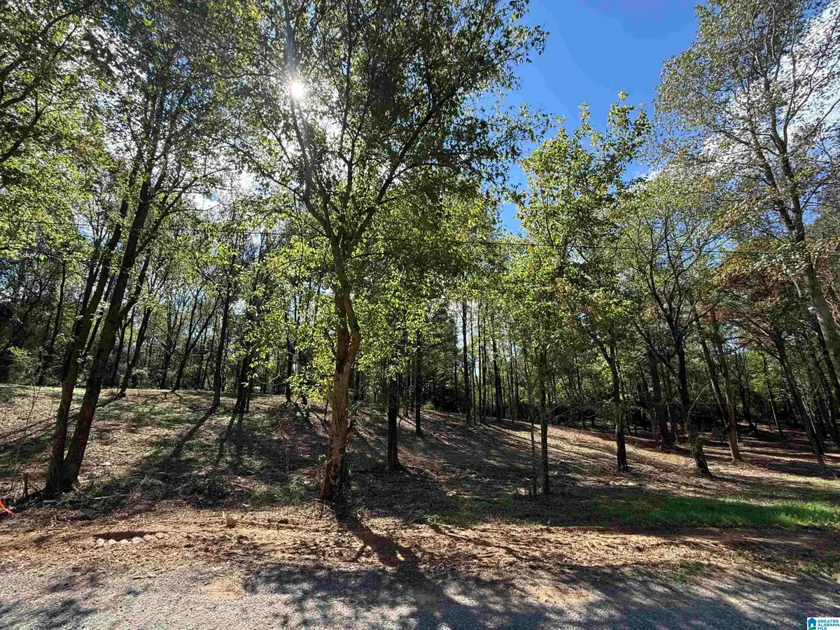 12B COUNTY ROAD 1123, Vinemont, AL 35179 - #1