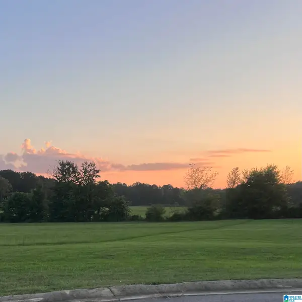 4909 MICHAEL DRIVE, Dora, AL 35062