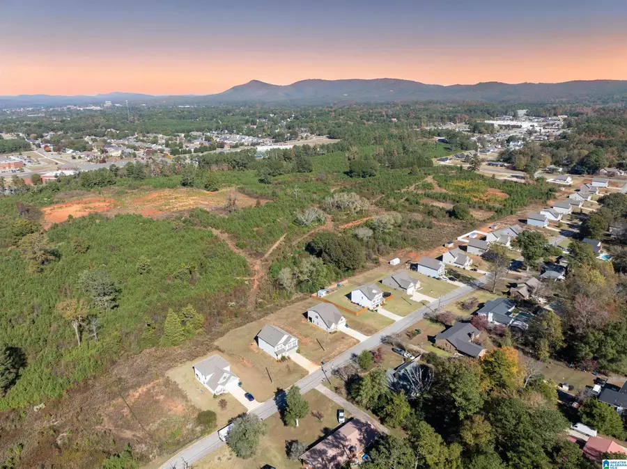 1593 FAIRWAY DRIVE SW, Jacksonville, AL 36265 - Image #2