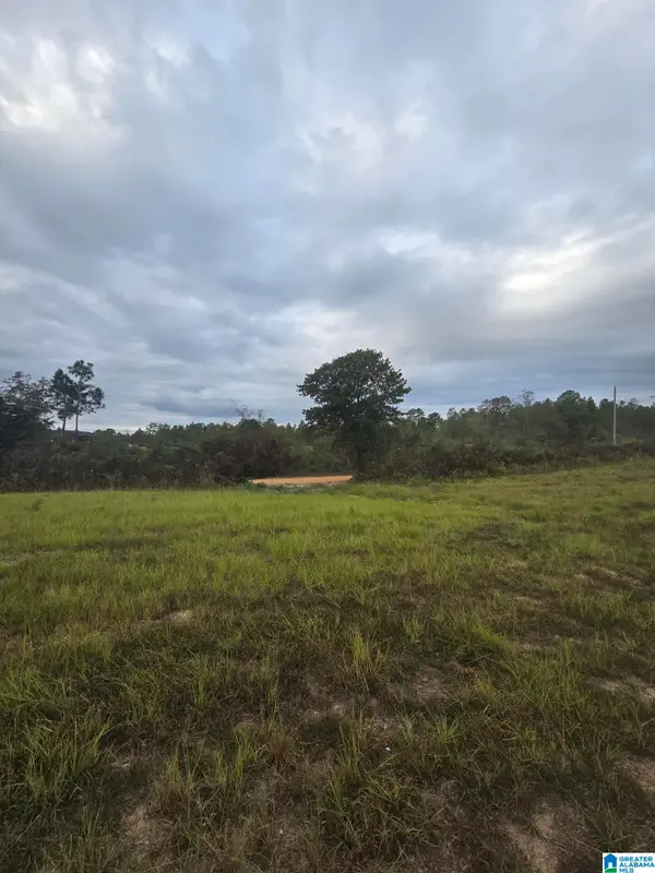 1089 COUNTY ROAD 351, Maplesville, AL 36750