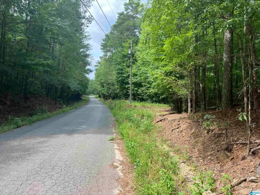 581 OLD HIGHWAY 9, Anniston, AL 36207 - Image #2