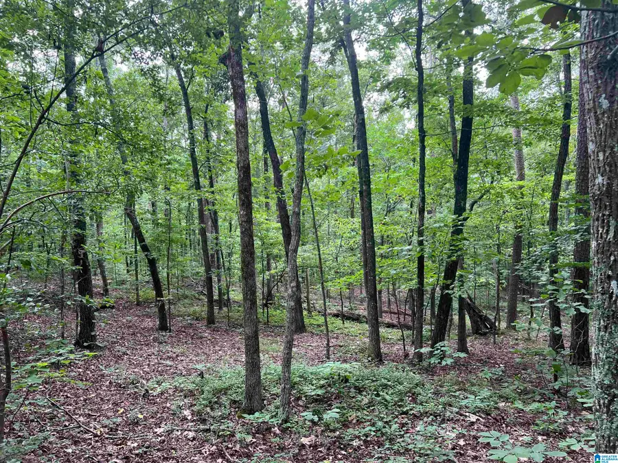 581 OLD HIGHWAY 9, Anniston, AL 36207 - Image #3